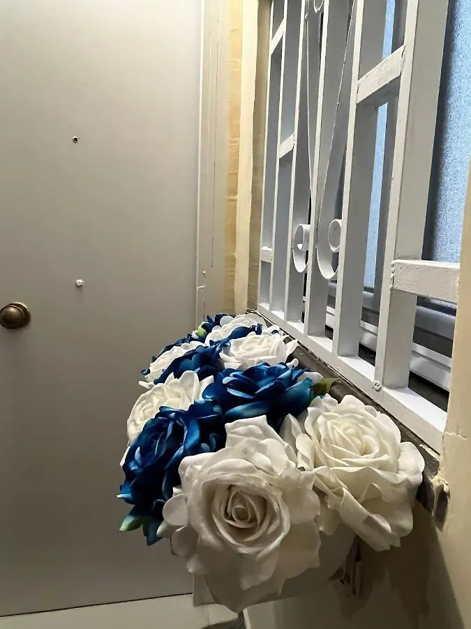 Domus Myosotis Apartment Napoli Holiday home